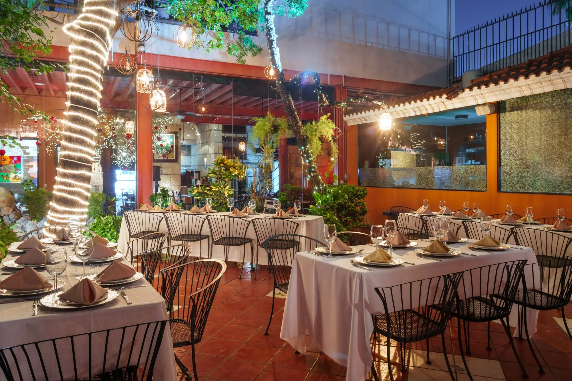 The full Garden, with tables set around the tree