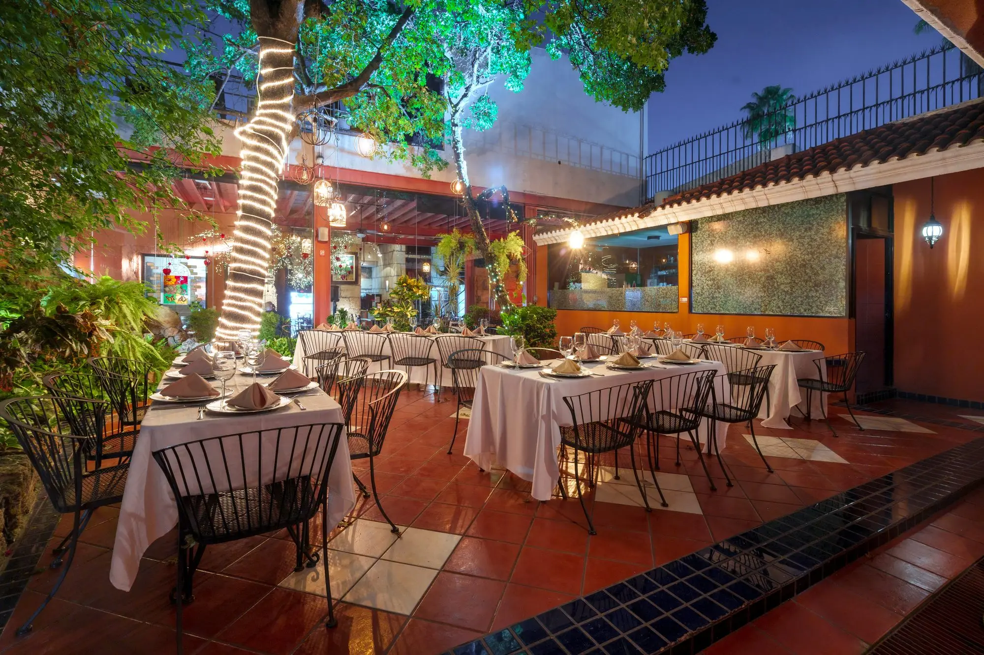 The Garden tables at dusk, under the illuminated tree