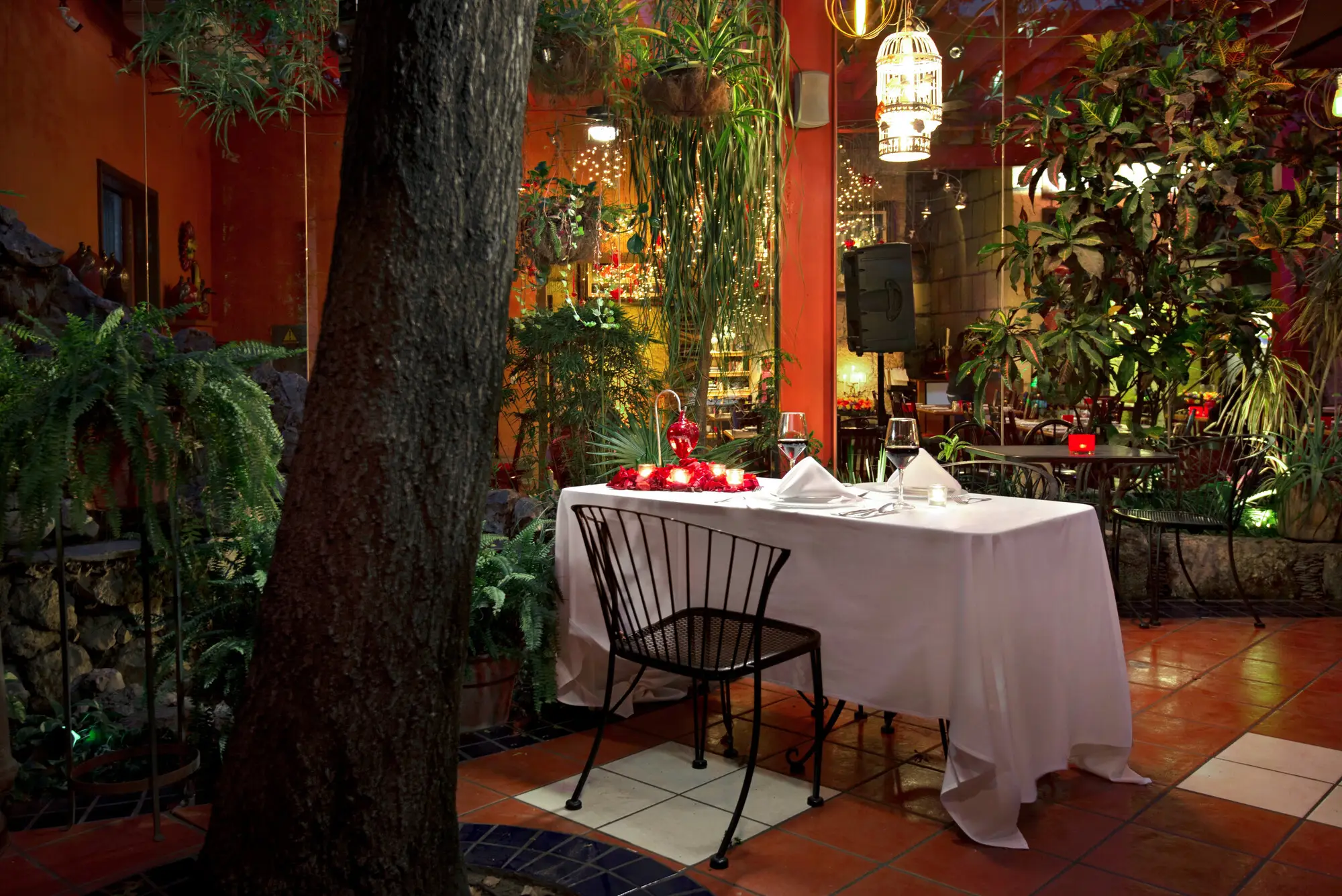 A table for two under the tree in the Garden